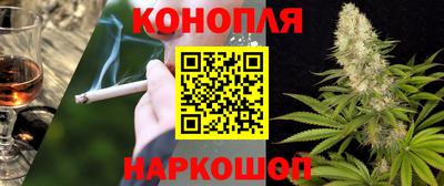спиды Камышлов