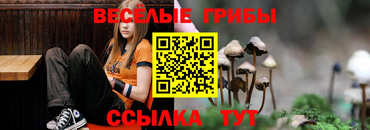 Псилоцибиновые грибы прущие грибы Невинномысск